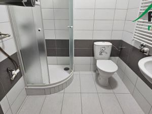 Pronájem bytu 1+kk, Tachov, 33 m2