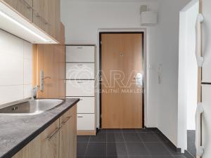 Pronájem bytu 1+1, Ostrava - Přívoz, Arbesova, 36 m2