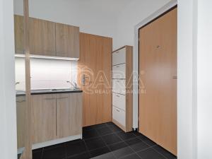 Pronájem bytu 1+1, Ostrava - Přívoz, Arbesova, 36 m2