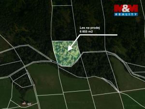 Prodej lesa, Jestřebí, 6855 m2