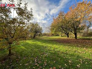 Prodej chaty, Nahořany - Doubravice, 31 m2