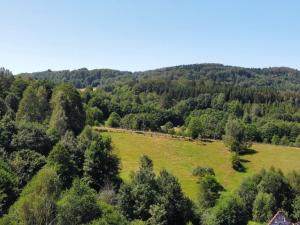 Prodej pozemku pro bydlení, Olešnice v Orlických horách, 4589 m2