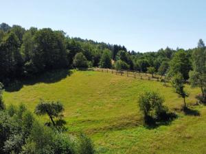 Prodej pozemku pro bydlení, Olešnice v Orlických horách, 4589 m2