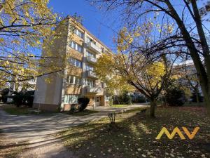 Prodej bytu 2+1, Hradec Králové - Slezské Předměstí, Severní, 44 m2