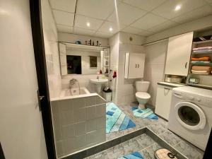 Prodej bytu 4+1, Liberec, Halasova, 94 m2