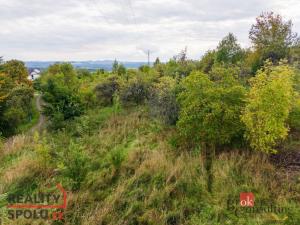 Prodej pozemku pro bydlení, Svojkov, 4351 m2