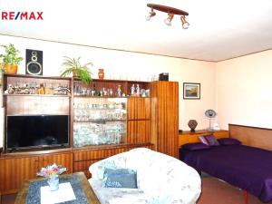 Prodej rodinného domu, Tis u Blatna, 100 m2