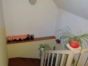 Prodej rodinného domu, Tis u Blatna, 100 m2