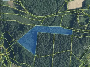 Dražba lesa, Ústí nad Labem, 11769 m2