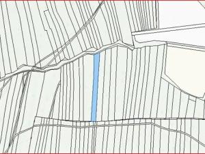 Dražba lesa, Blížejov, 3197 m2