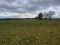 Prodej komerčního pozemku, Strážkovice, 4604 m2