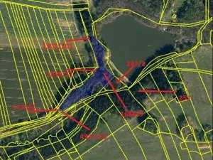 Prodej lesa, Černovice, 10978 m2