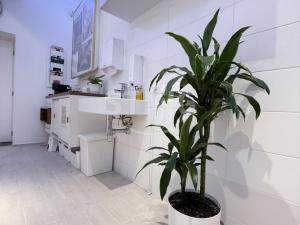 Pronájem komerční nemovitosti, Ostrava, náměstí Jurije Gagarina, 14 m2