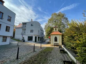 Prodej bytu 5+kk, Praha - Střešovice, Nad hradním vodojemem, 193 m2