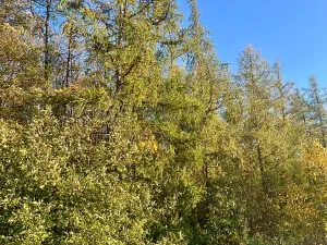 Pronájem bytu 3+kk, Praha - Hlubočepy, Fabiánové, 67 m2