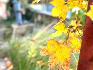 Prodej rodinného domu, Jiřice u Moravských Budějovic, 137 m2