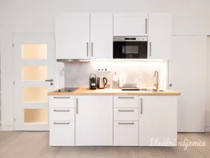 Pronájem bytu 2+kk, Praha - Nové Město, Opletalova, 42 m2