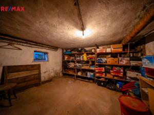 Prodej rodinného domu, Samotišky, Borová, 132 m2