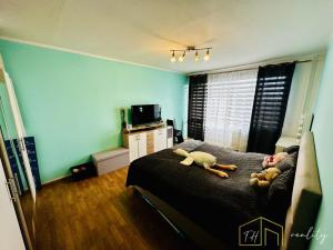 Prodej bytu 2+1, Chomutov, Jirkovská, 63 m2