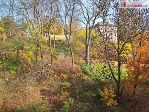 Pronájem bytu 1+kk, Ústí nad Labem - Ústí nad Labem-centrum, Masarykova, 44 m2