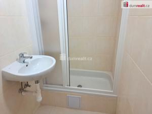 Pronájem bytu 1+1, Ústí nad Labem - Ústí nad Labem-centrum, Masarykova, 44 m2