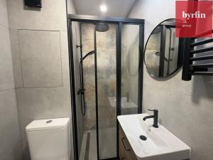 Pronájem bytu 1+kk, Opava, Ratibořská, 22 m2