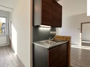 Pronájem bytu 2+kk, Plzeň, Houškova, 63 m2
