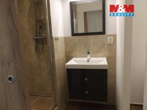 Pronájem bytu 1+1, Petřvald, Ostravská, 28 m2