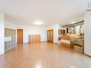 Prodej bytu 4+kk, Brno, 167 m2