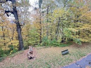 Prodej bytu 3+kk, Třinec, Topolová, 70 m2