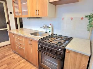 Pronájem bytu 2+1, Velké Opatovice, Pod Strážnicí, 55 m2