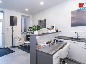 Prodej rodinného domu, Brno - Komárov, Plotní, 480 m2