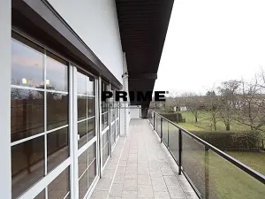 Pronájem rodinného domu, Průhonice, Sadová, 300 m2