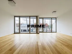 Pronájem bytu 4+kk, Praha - Smíchov, Holečkova, 174 m2