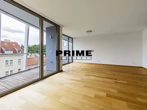 Pronájem bytu 4+kk, Praha - Smíchov, Holečkova, 174 m2