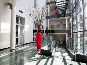 Pronájem kanceláře, Praha - Nové Město, Krakovská, 412 m2