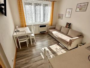 Pronájem bytu 1+1, Loket, Sportovní, 35 m2