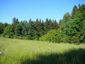 Prodej rodinného domu, Štoky, 1000 m2