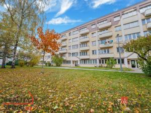 Prodej bytu 3+1, Hradec Králové - Slezské Předměstí, Severní, 60 m2