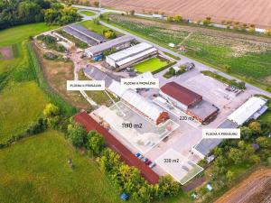 Pronájem komerčního pozemku, Zámrsk - Nová Ves, 1190 m2