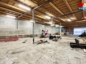 Pronájem výrobních prostor, Benátky nad Jizerou - Benátky nad Jizerou I, 700 m2