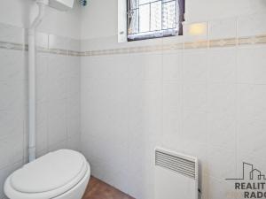 Prodej chalupy, Čenkovice, 105 m2