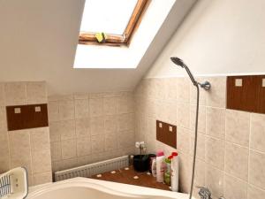 Prodej činžovního domu, Česká Kamenice, Lipová, 300 m2