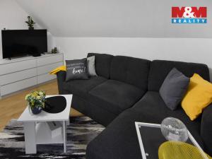 Pronájem bytu 1+kk, Plazy, 30 m2