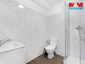 Pronájem bytu 1+kk, Plazy, 30 m2