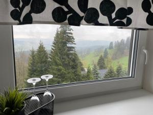 Pronájem bytu, Rokytnice nad Jizerou - Studenov, 70 m2