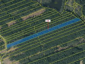 Dražba lesa, Chrbonín, 10189 m2