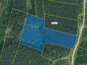 Dražba lesa, Milavče, 9168 m2