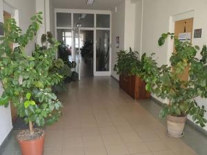 Pronájem kanceláře, Prostějov, Za Olomouckou, 100 m2