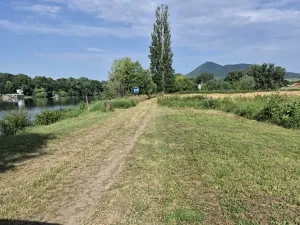 Prodej pole, Píšťany, 5816 m2